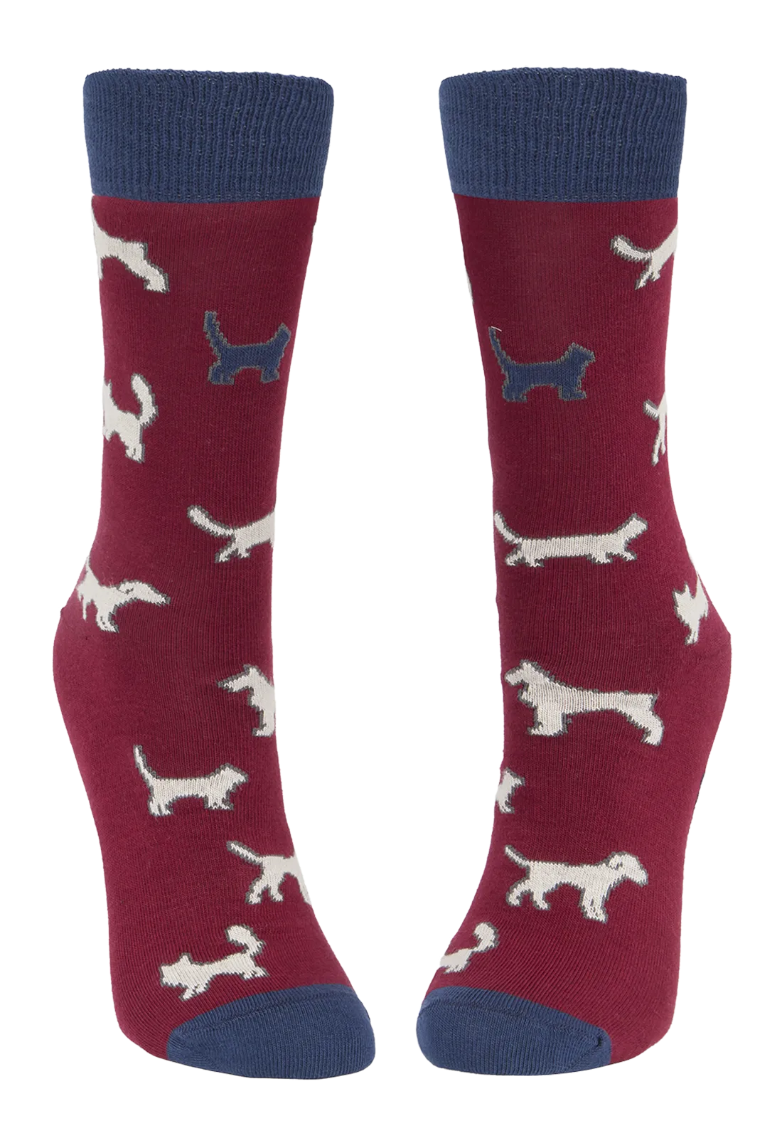 Calcetín estampado dogs & cats wine LM400