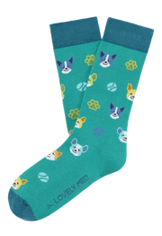 Meias estampadas happy dog teal blue LM400